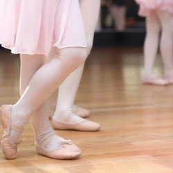 Evites Ballet -en Dansschool (HoofdLocatie Baankwartier)