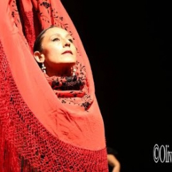 Studio Flamenca