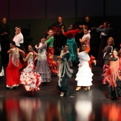 Flamenco Schule Bustani