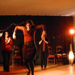 Flamenco Tanz Schule 'La Marivi '