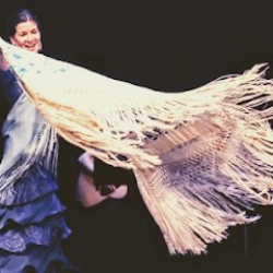 Flamenco Montana