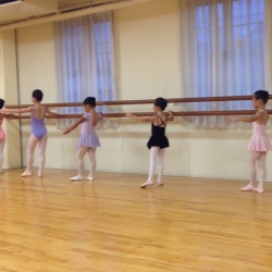 Hiroko Ballet Studio . Sagamiharashi School of Ballet
