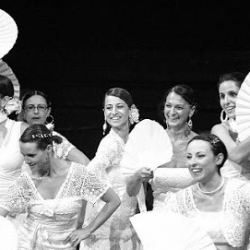 Flamenco Dance School The Mosaic Asd