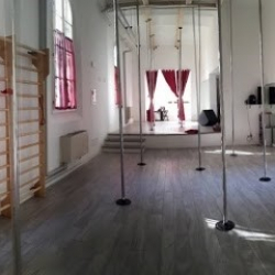Female Pole Dance Arts Studio Bologna