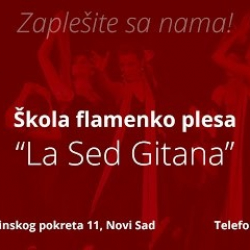 Škola flamenko plesa 'La Sed Gitana'