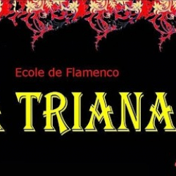 School Of Flamenco - La Triana