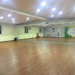 Mudhra Dance Studio