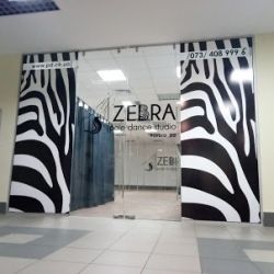 Zebra Pole Dance Studio