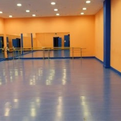 Academia Ritmolugo Escuela de Danza
