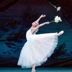 Russian Ballet Alafaya