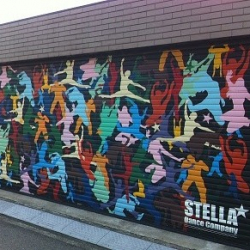 Stella dance company