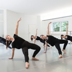 Dance studio - school of artistic dance