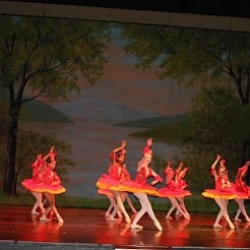 Russian Ballet Academy of Michigan