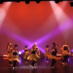 Telford Academy Of Performing Arts