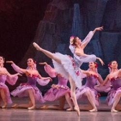 Академия Русского балета имени А. Я. Вагановой