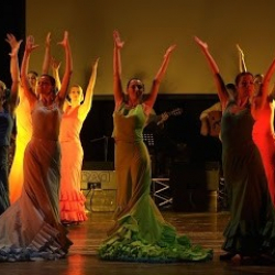 ASD Viento Flamenco (Sede di Udine)