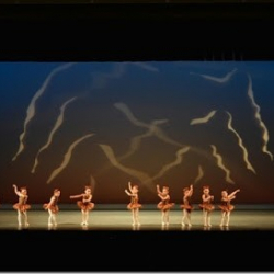Wakaba Ballet Academy Yokohamashi Tsuzukikuno School of Ballet
