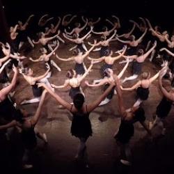 Σχολή Χορού Φιοράκη-Fioraki Dance School