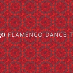 Zorongo Flamenco Dance Theatre and School
