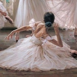 Academia De Ballet Francklin Bernardes