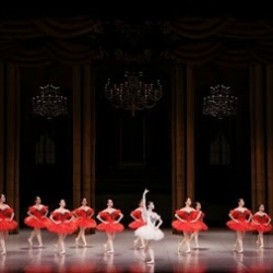 Araki School of Ballet