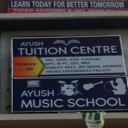 Ayush Music & Dance School