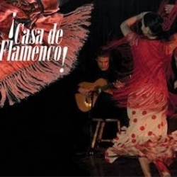 Casa de Flamenco