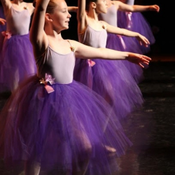 Connecticut Dance School